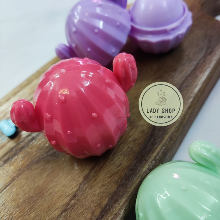 بالم لب کیوت